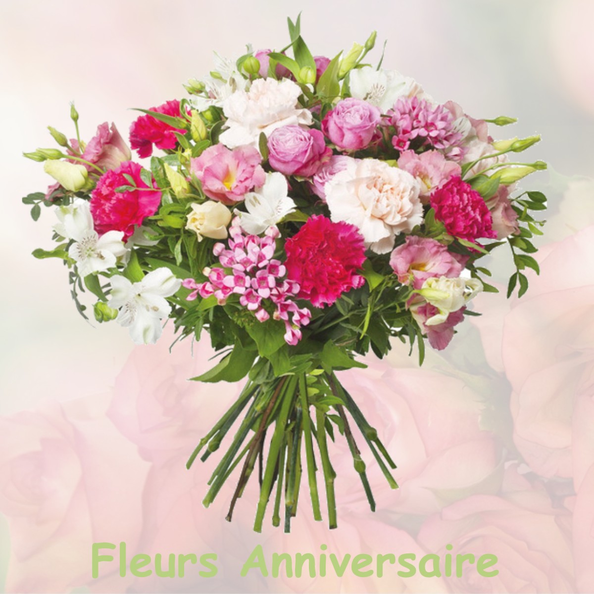fleurs anniversaire MONTREAL-LES-SOURCES